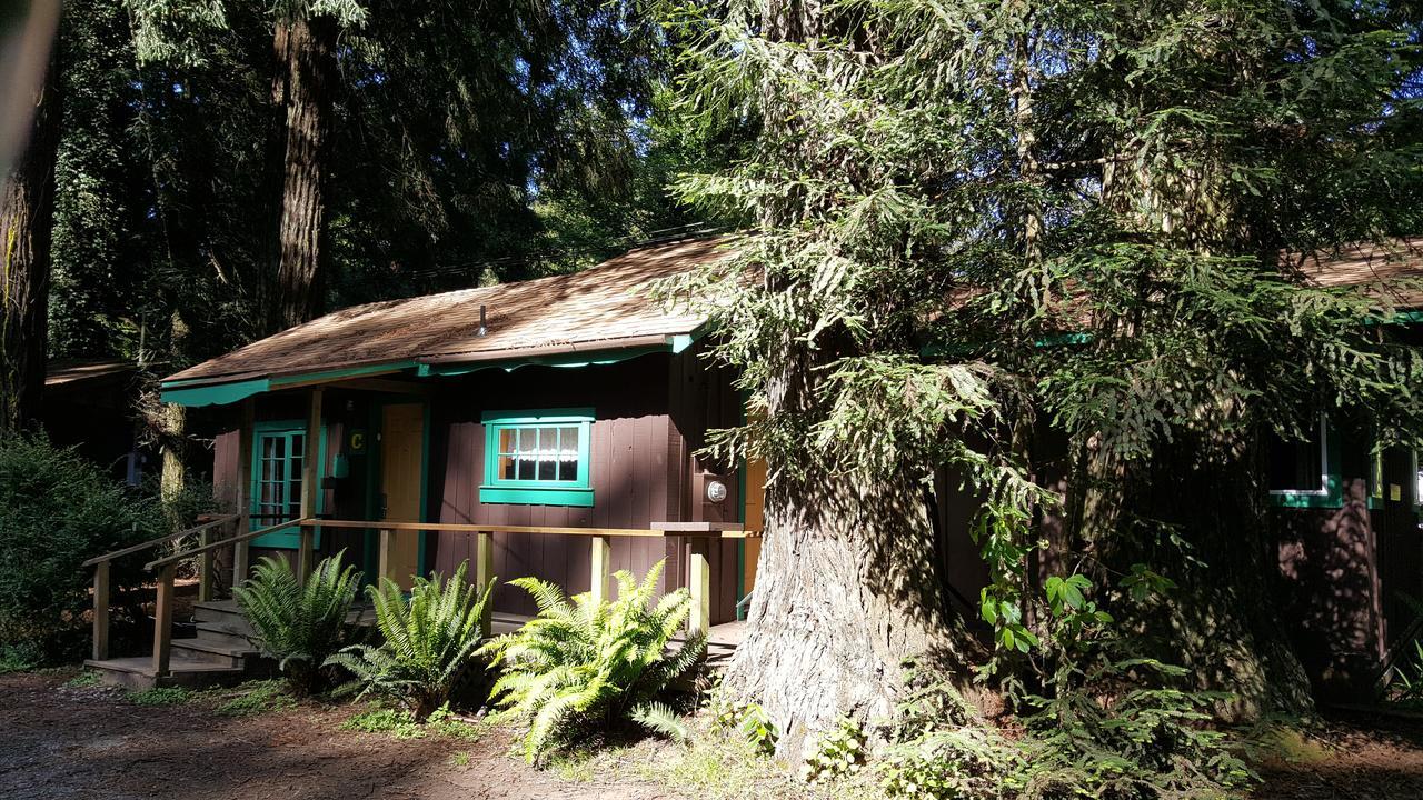 Emerald Forest Cabins Trinidad Exteriör bild