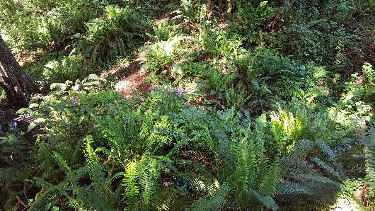 Emerald Forest Cabins Trinidad Rum bild